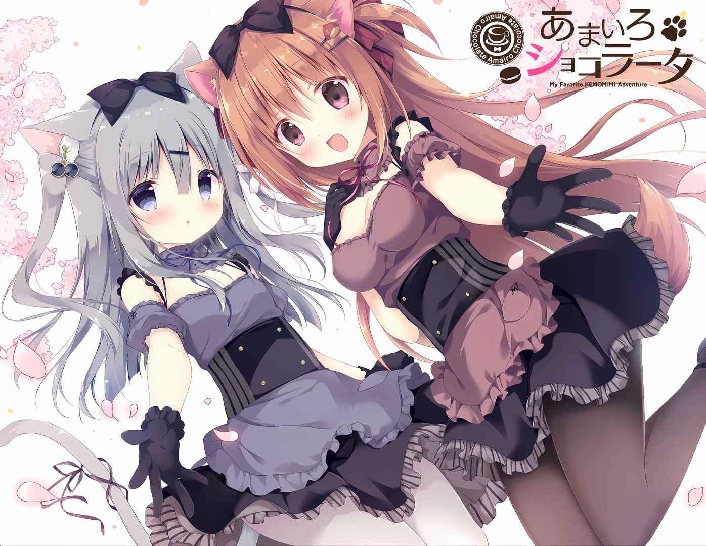 预览图