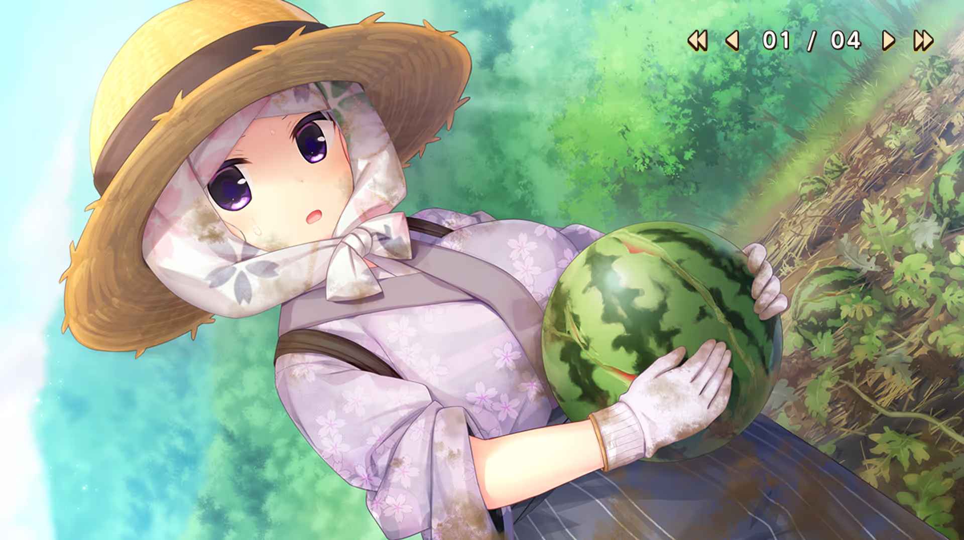 预览图