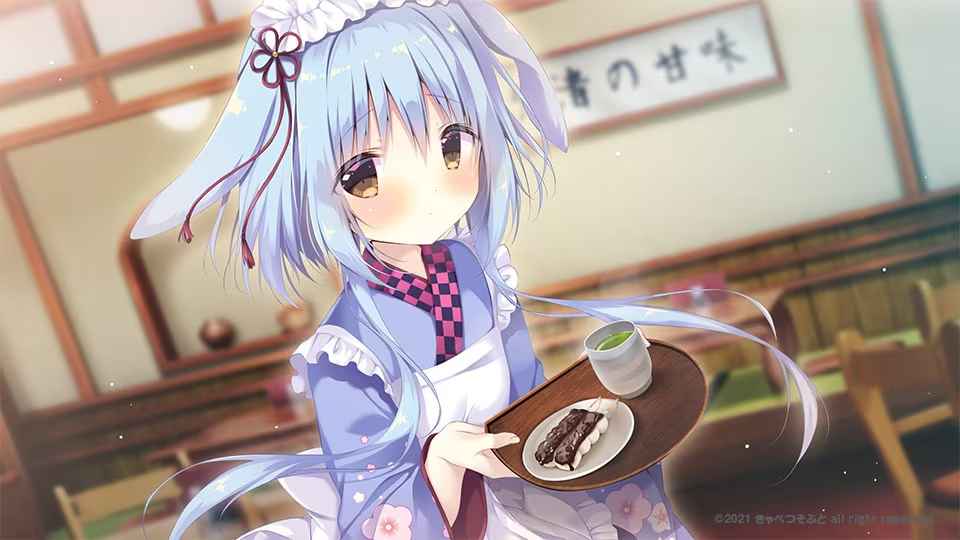 预览图