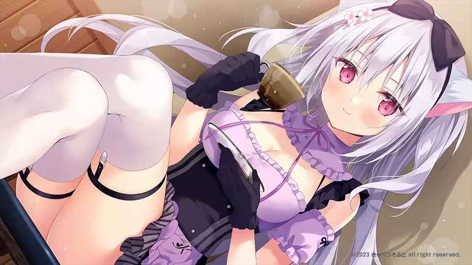预览图