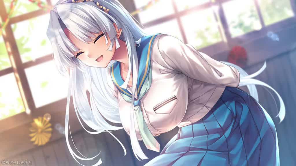 预览图