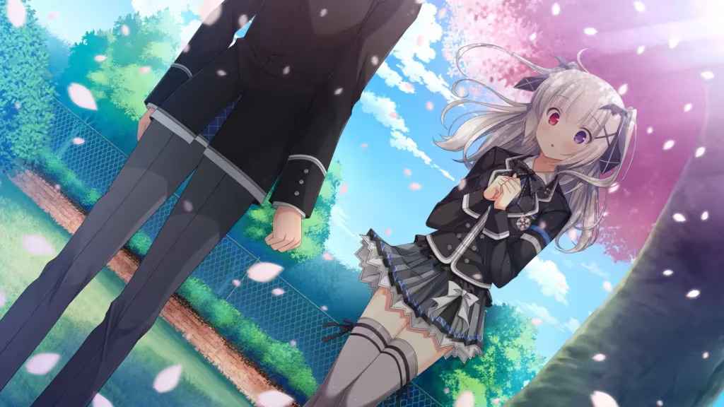 预览图