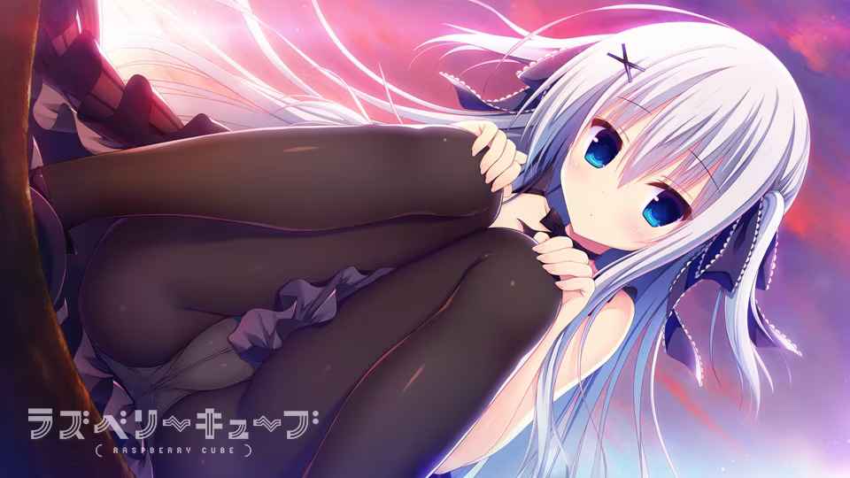 预览图