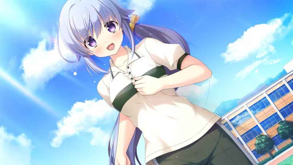 预览图